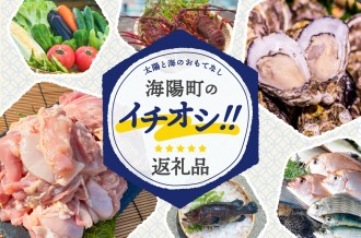 海陽町のイチオシ返礼品特集