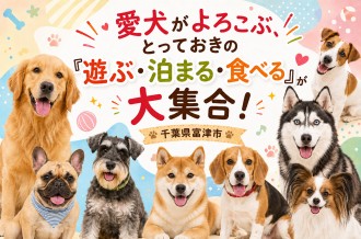 ワンちゃん特集