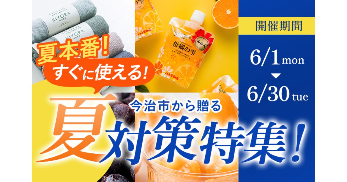 夏本番！“ すぐに使える！” ～夏対策特集～｜ふるさとチョイス