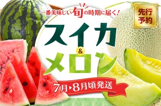 【2026年7月〜8月発送】三浦スイカメロン先行予約