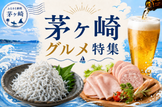 茅ヶ崎しらす、湘南ビール、茅ヶ崎産生乳を使ったアイスクリームなど、茅ヶ崎市グルメを満喫できるふるさと納税返礼品をご紹介します