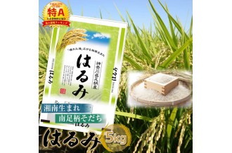 南足柄育ちのお米「はるみ」