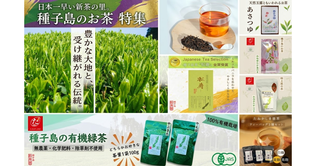 鹿児島県西之表市の日本一早い「走り新茶の里」種子島から、一番茶で