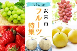 やすぎのフルーツ、受付開始しています！