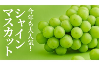 今年も大人気！シャインマスカット