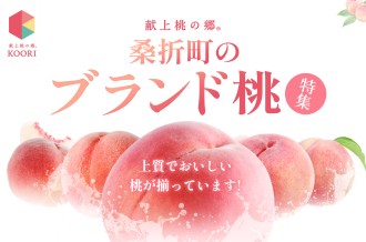 【献上桃の郷】桑折町のブランド桃特集