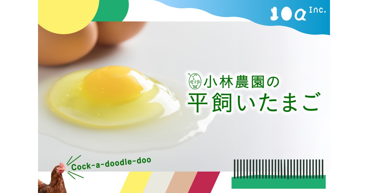 のびのび暮らすニワトリの平飼いたまご｜ふるさとチョイス - ふるさと