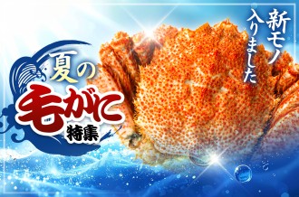 夏の毛がに特集 新物入りました