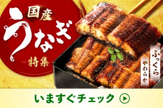 ふるさと納税 うなぎ特集 画像