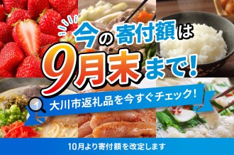 10月以降に影響が出るお礼の品（福岡県大川市）