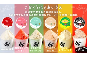アイス アイスクリームセット デザート 贈答用 古河市 ふるさと納税　牛乳 いちご チョコミント 和紅茶 レモンパック ノアール