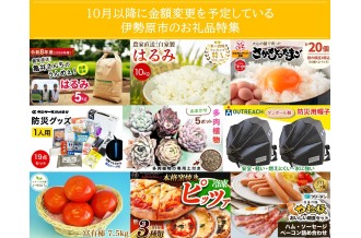伊勢原市ふるさと納税-10月以降に金額変更を予定している伊勢原市のお礼品特集