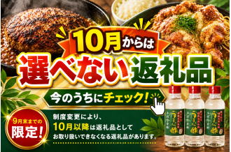 2026年10月からは選べない返礼品