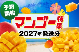 【予約開始 / 2027年発送分】沖縄県・南風原町　マンゴー大特集！