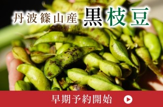 2026年！丹波篠山「黒枝豆」予約受付中