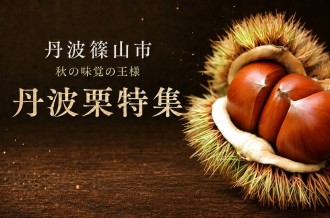 秋の味覚・丹波栗を楽しめる返礼品を集めました。丹波篠山市の生栗や焼き栗、栗スイーツ、などをご紹介します。