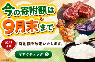 今の寄附額は9月末までのお礼の品特集