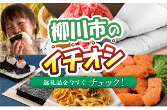 柳川市のイチオシ返礼品！