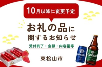 ふるさと納税　東松山市　期間限定寄付額　期間限定価格　