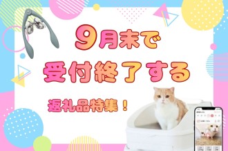 9月末で終了！まだ間に合う湖西市の返礼品特集