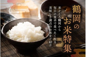 お米画像