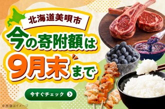 今の寄附額は9月末までのお礼の品特集