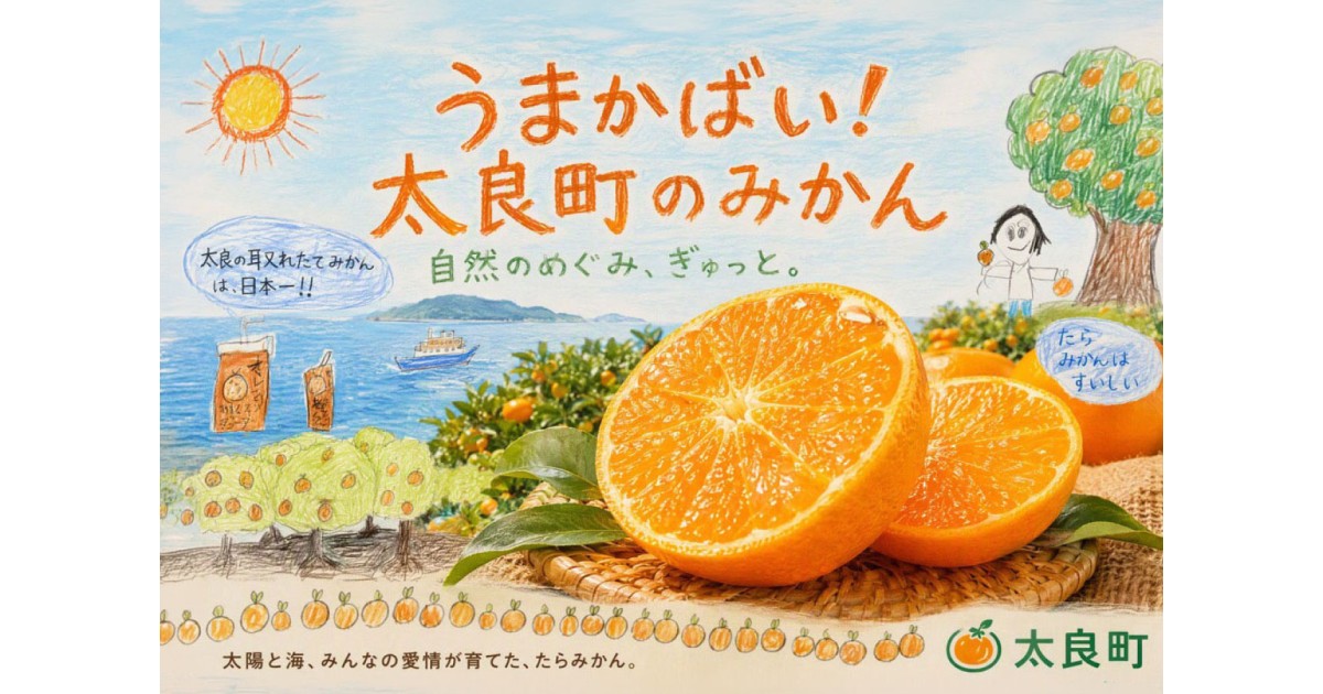 太良町 みかん特集｜ふるさとチョイス - ふるさと納税サイト