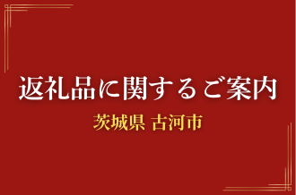 古河市　ふるさと納税　返礼品に関するご案内　HARIO　アクセサリー　キッチン用品　チップスター　お菓子　