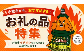 小牧市 お礼の品 こまき山 おすすめ