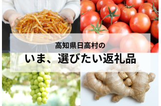 ＼9月末まで／ 今、日高村がおすすめするお礼の品　村の特産である芋けんぴとトマトとシャインマスカットと生姜の写真