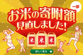 ふるさと納税 新米 お米 美味しい 取り寄せ グルメ 白米 こめ おいしいお米 即納