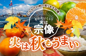 そのおいしい！実は宗像　実は秋もうまい