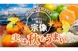そのおいしい！実は宗像　実は秋もうまい