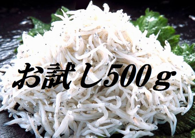 土佐の黒潮の恵み!釜揚げシラス500g