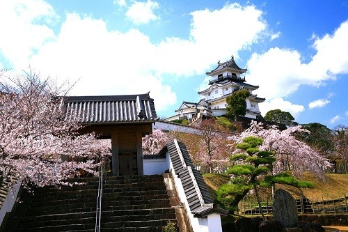 写真