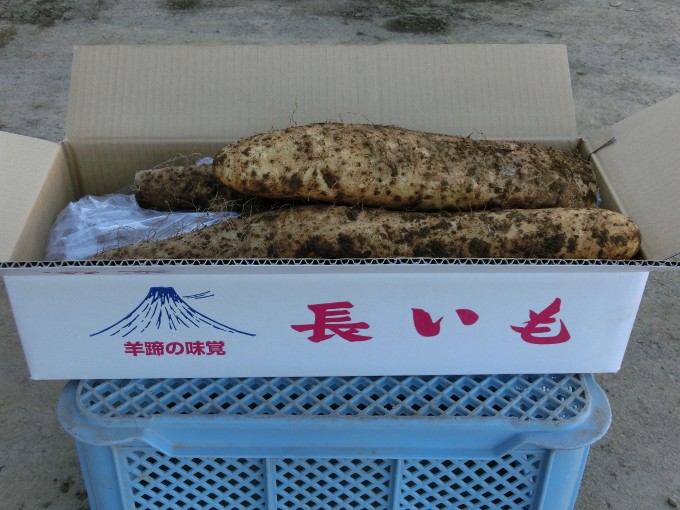 ※ イメージ写真です。実際の発送状態ではありません。