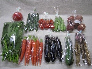 8月の有機野菜セットの例