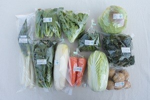 2月の有機野菜セットの例