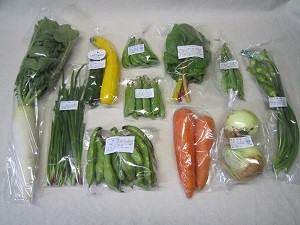 5月の有機野菜セットの例