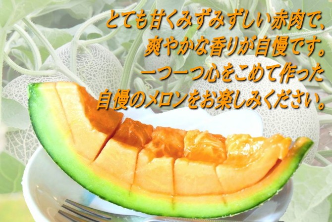 高級赤肉メロン「ルピアレッド」~心を込めてつくった自信のメロンです~