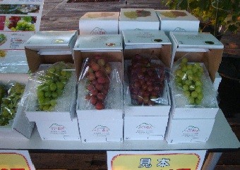 ぶどうは大切に梱包し配送されます。
