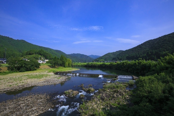 美味しいうなぎの育つ四万十川の環境