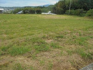 この場所に新たに作付けを始めます!!