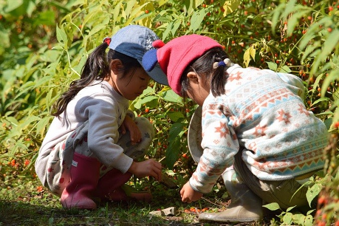 子供の好奇心を第一に、その日の過ごし方が決まります