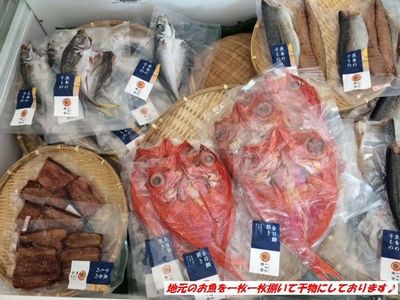 様々な黒潮の恵みを加工!