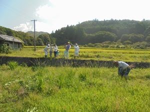 この場所に新たに植付します