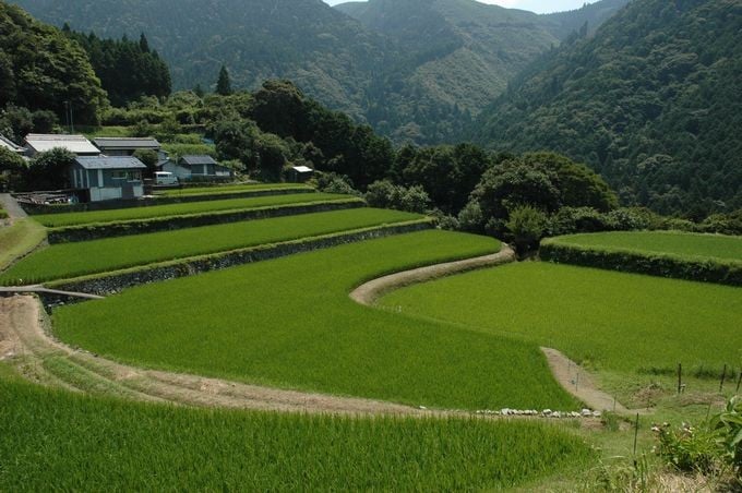 標高400m 米ヶ岡地区はこんなところ♪