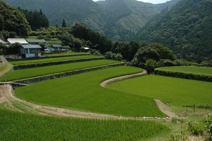 標高400m 米ヶ岡地区はこんなところ♪