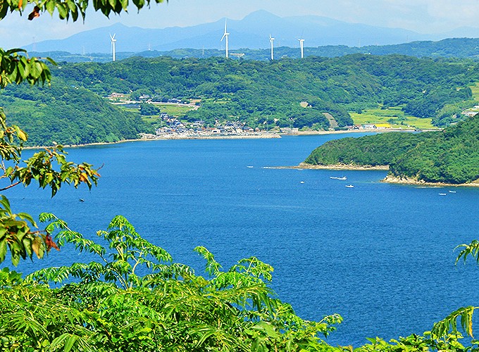 写真