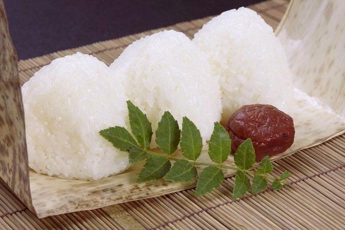 6kg　(2kg×3袋)　美味しい　お米　コシヒカリ白米　甘い　長野県東御市-　9回定期便）八重原米　精米